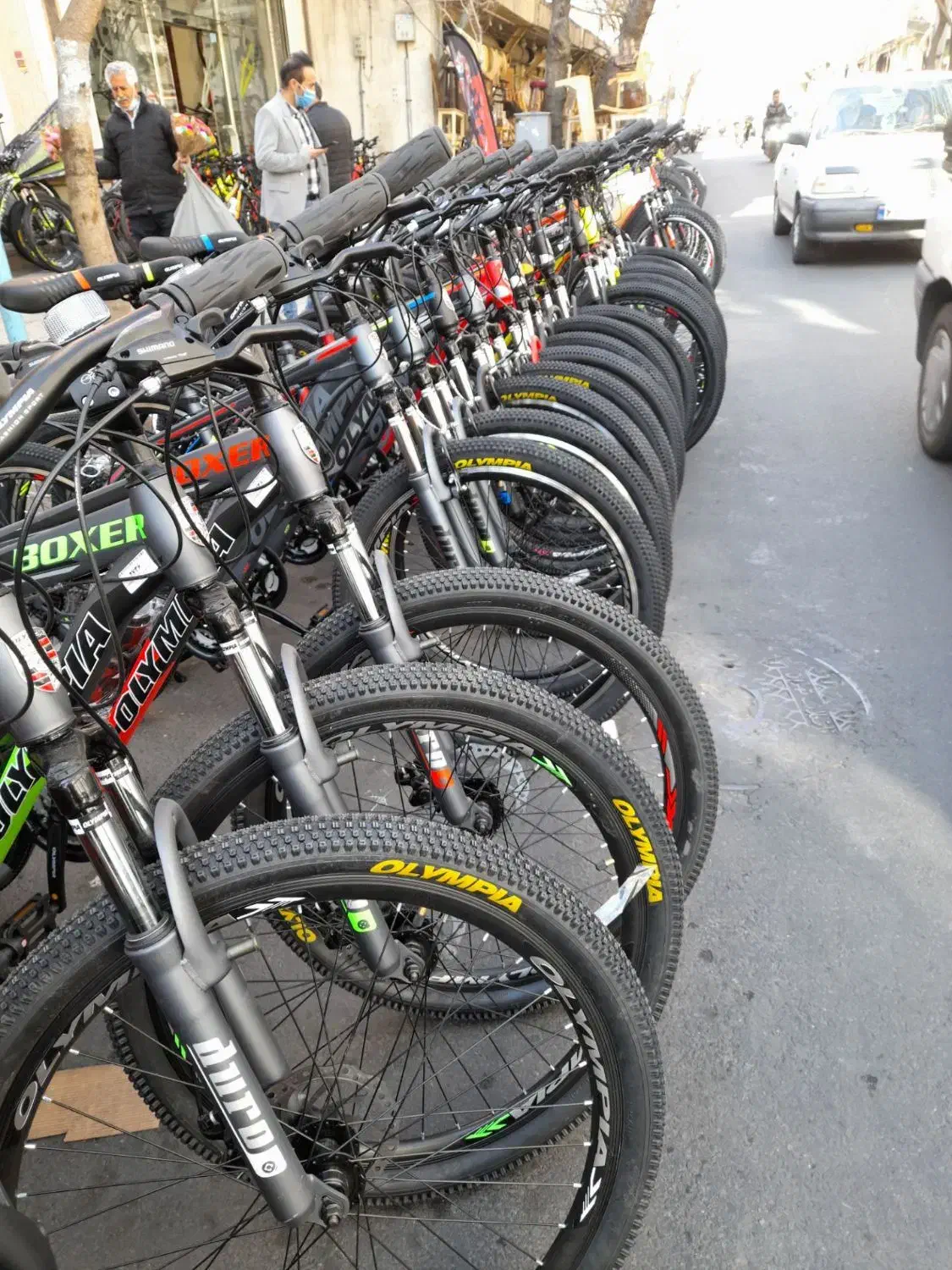 دوچرخه / کوهستان و جاده شهری وساحلی|دوچرخه، اسکیت، اسکوتر|محمدشهر, زیبادشت|دیوار