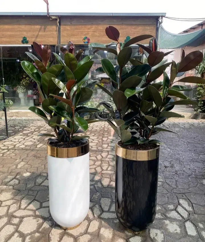 باغبانی همه نقاط تهران پذیرفته میشود مرادی خدمات|خدمات باغبانی و درختکاری|تهران, نیاوران|دیوار