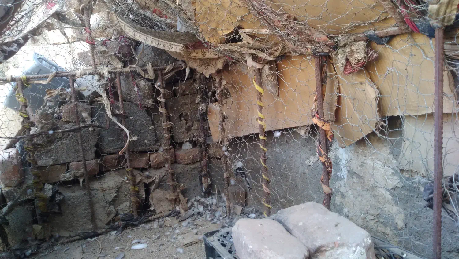 قفس مرغ وکبوتر|لوازم جانبی حیوانات|میرجاوه, |دیوار