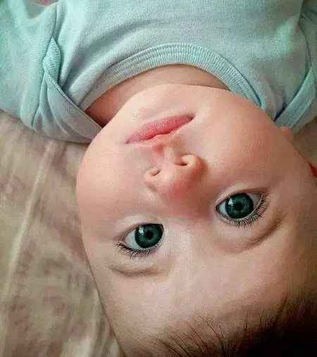 رحم جایگزین|فعالیت داوطلبانه|یزد, |دیوار