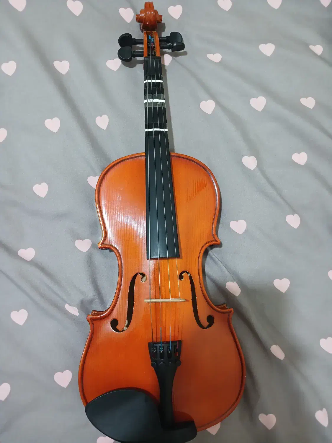 ساز موسیقی|ویولن|اراک, |دیوار