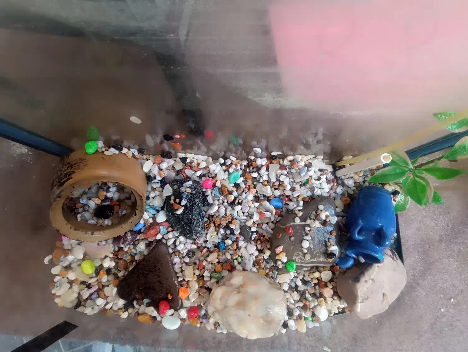 آکواریوم با لوازم و سنگ|ماهی|تبریز, |دیوار