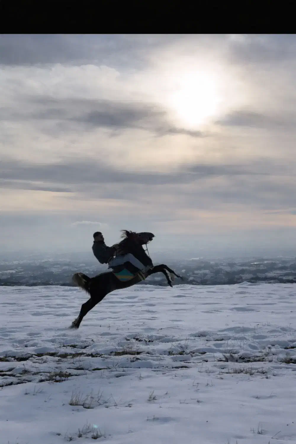 اسب کرد|اسب و تجهیزات اسب‌سواری|زنجان, |دیوار