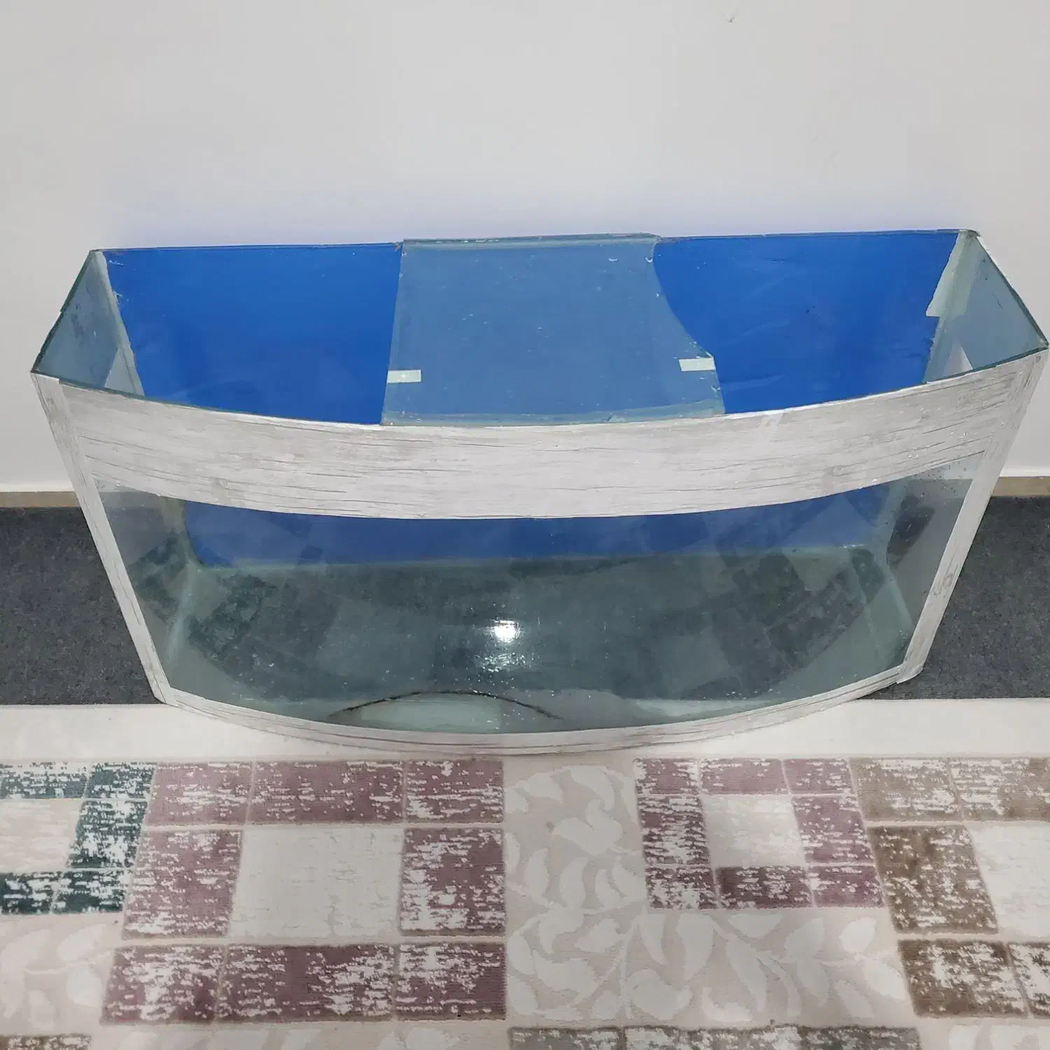 اکواریوم|ماهی|میانه, |دیوار