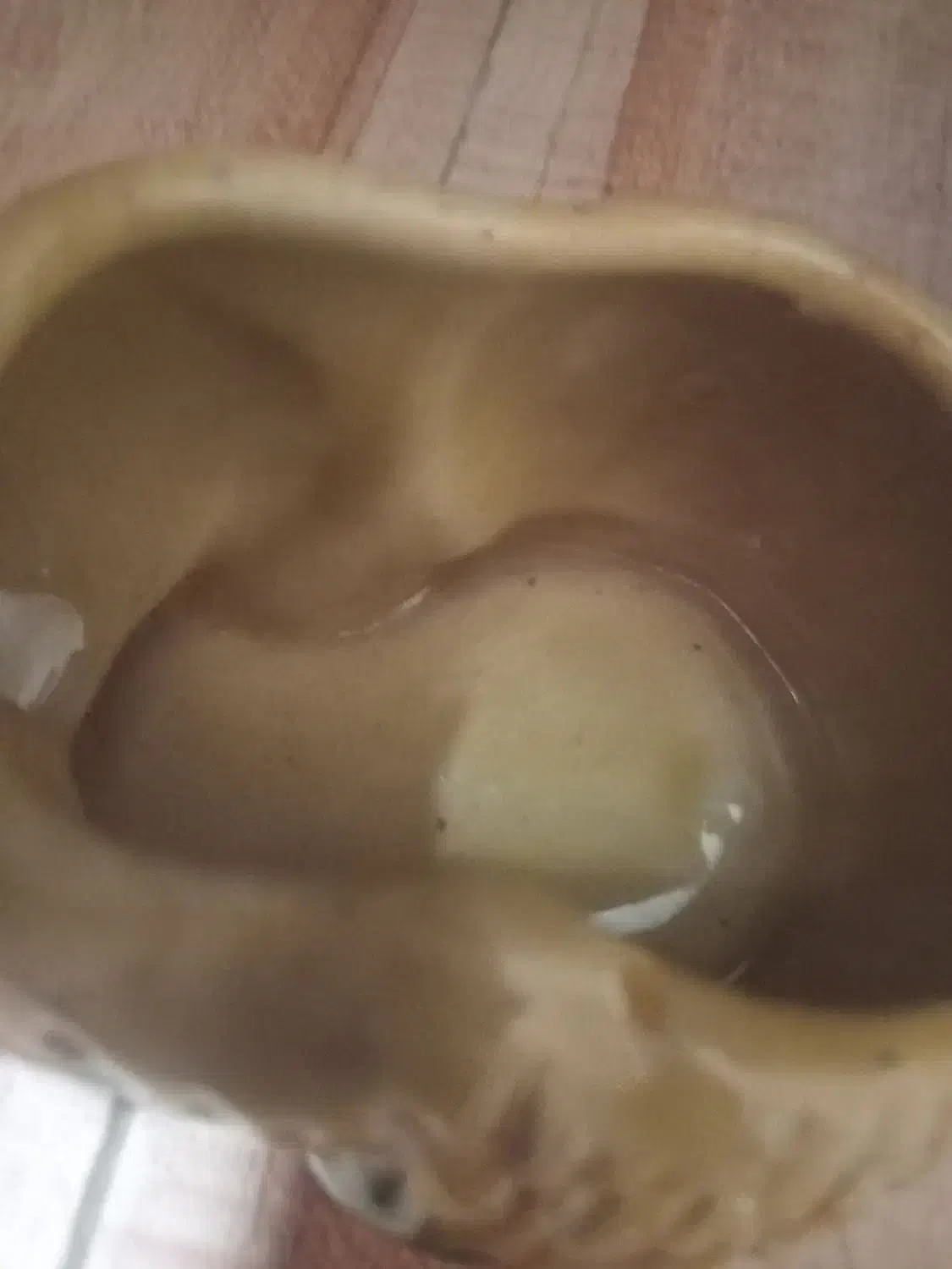 مجسمه|مجسمه، تندیس، ماکت|سنگر, |دیوار