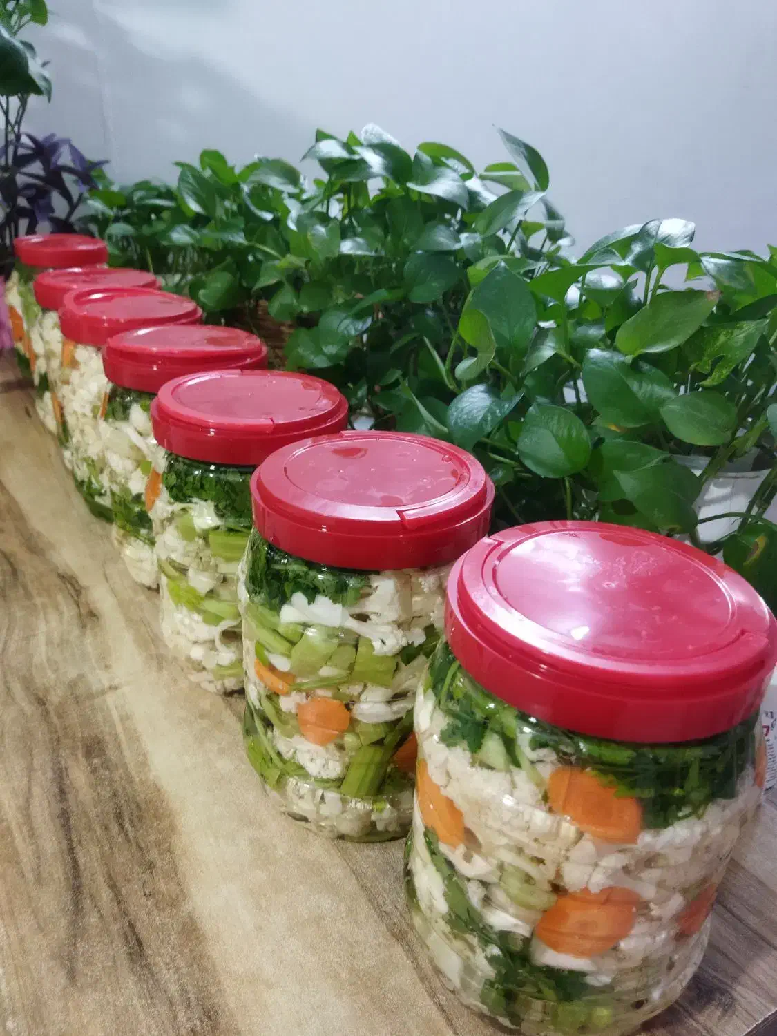 انواع محصولات خانگی بابهترین کیفیت|خوردنی و آشامیدنی|قم, انسجام|دیوار