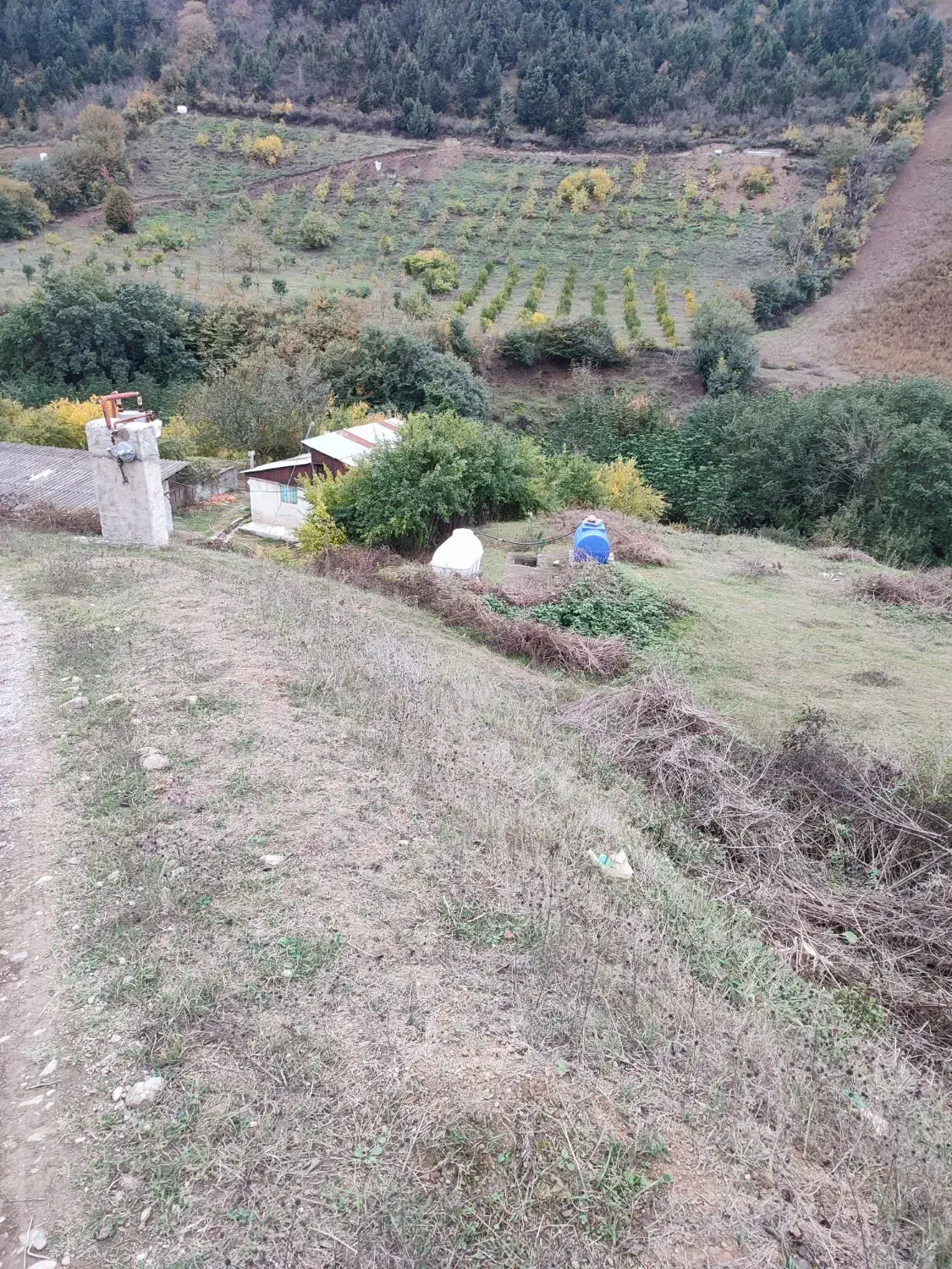 جذب کار آفرین در زمینه کشاورزی و دام وطیور|استخدام صنعتی، فنی، مهندسی|توتکابن, |دیوار