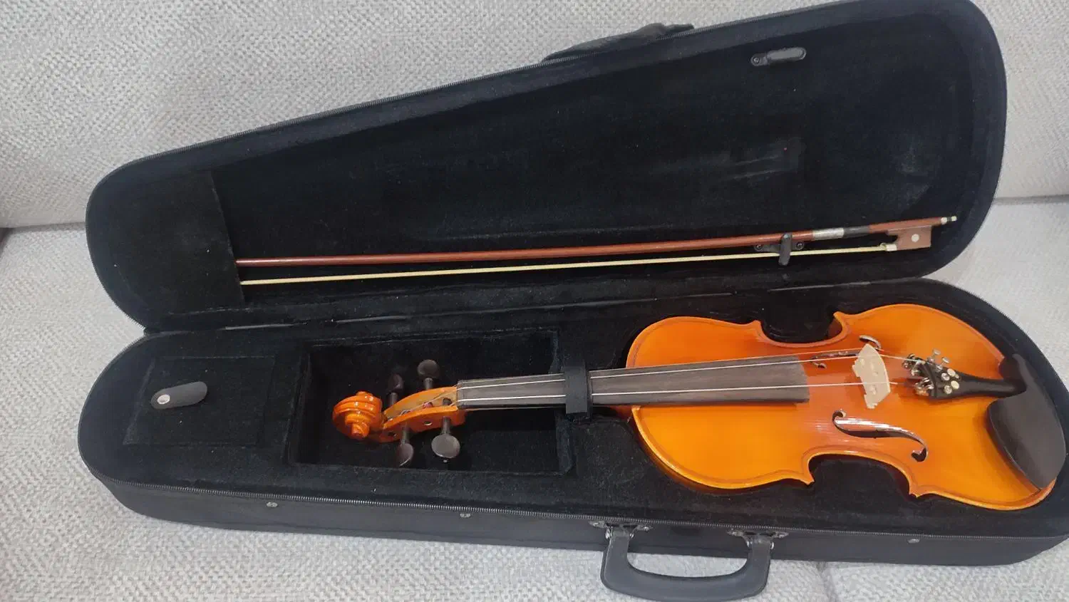 ویولن|ویولن|حمیدیا, |دیوار