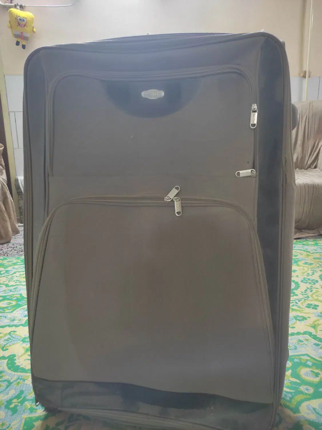 چمدان|کیف، کفش، کمربند|کرمان, |دیوار