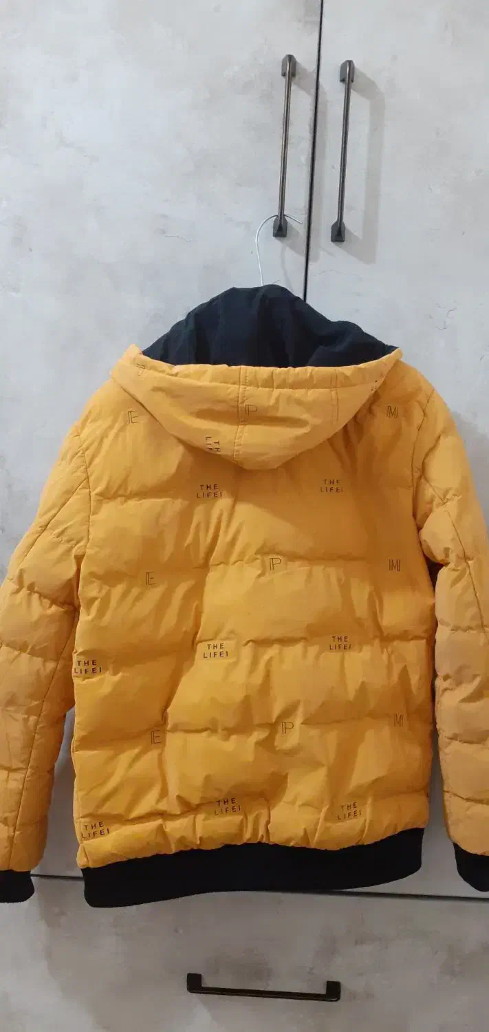 کاپشن پسرانه|لباس|باغ حلی, |دیوار