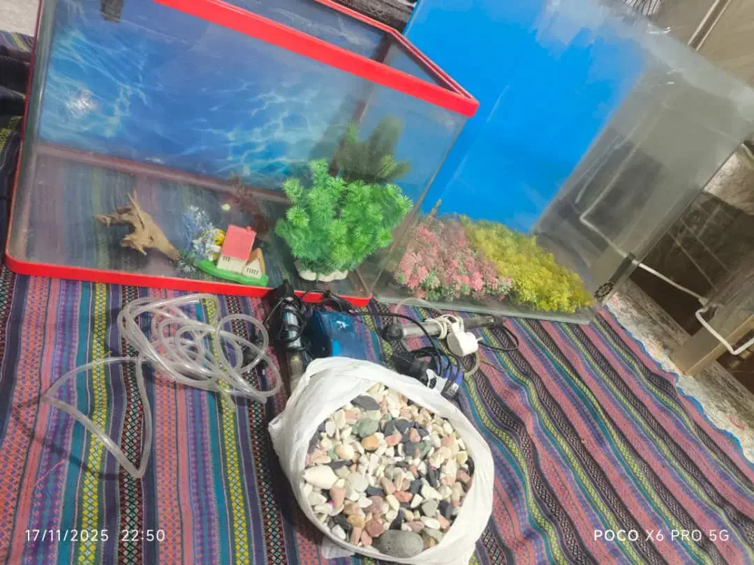 آکواریوم شرکتی|لوازم جانبی حیوانات|قزوین, |دیوار