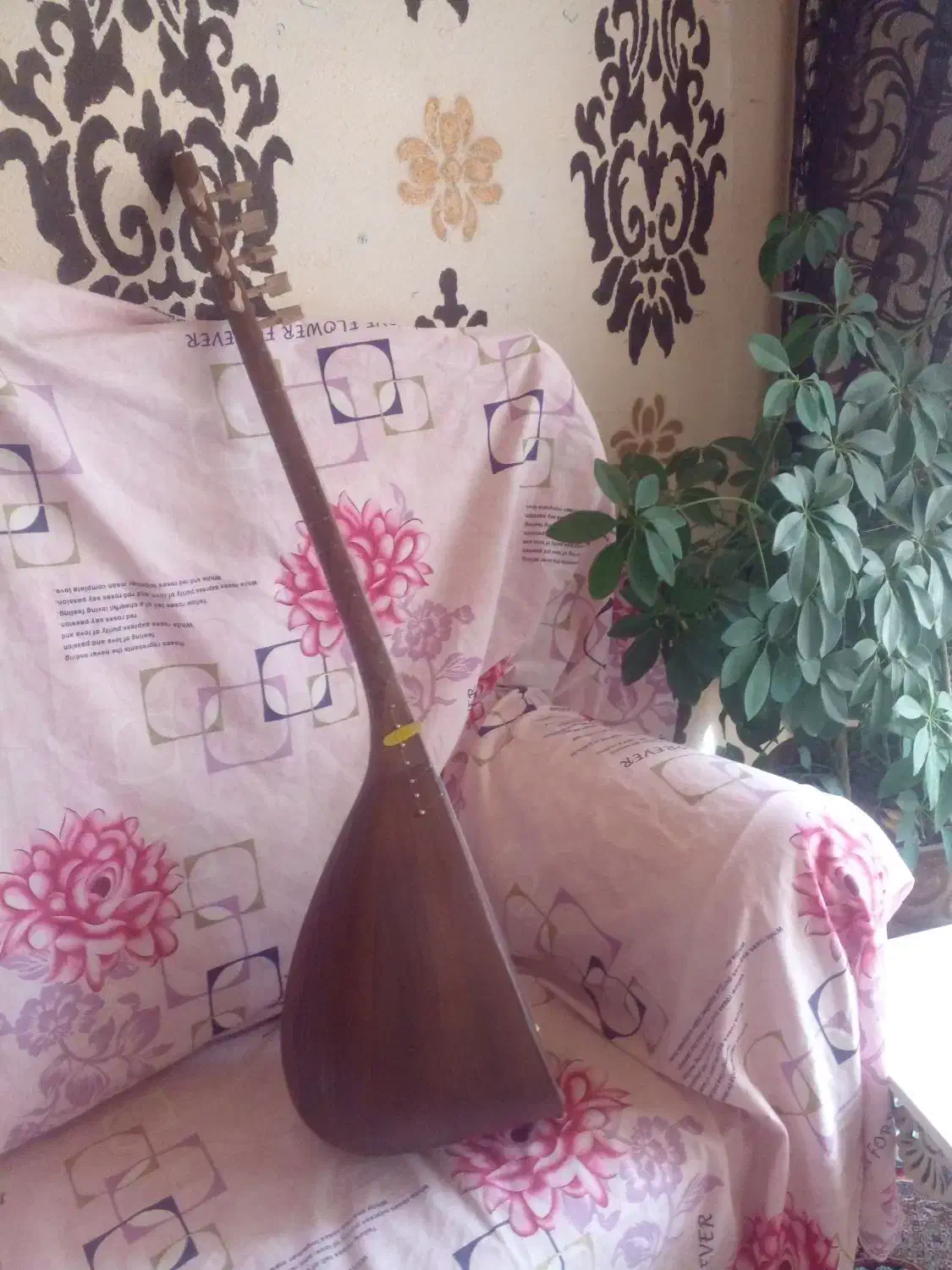 ساز آذربایجان|سازهای سنتی|اردبیل, |دیوار