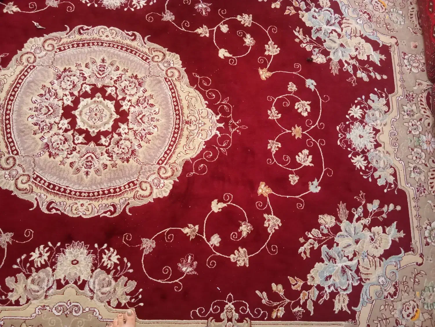 فرش شیش متری|فرش|بیرجند, |دیوار