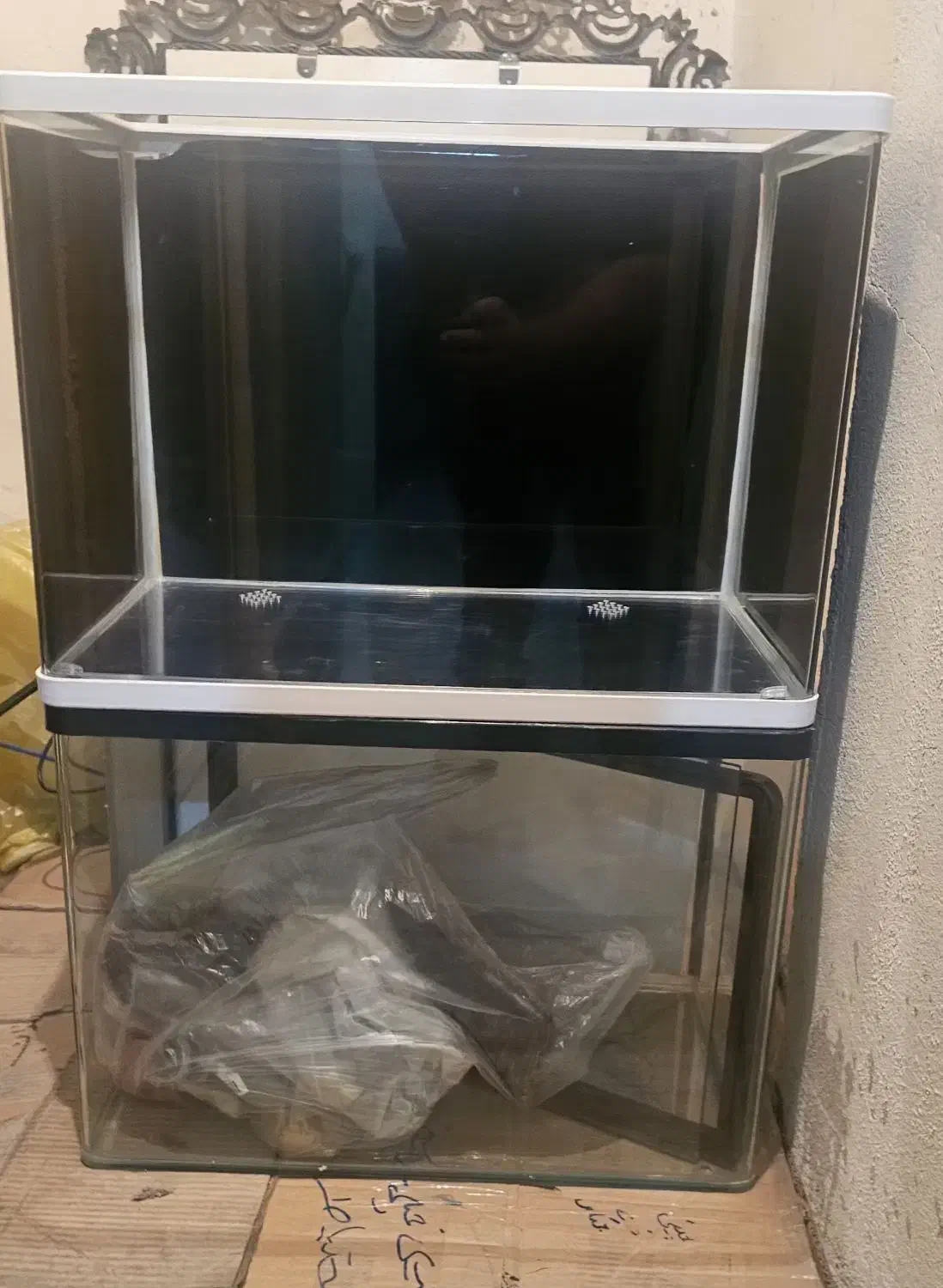 آکواریوم‌ شیشه خم ۵۰ سانتی|لوازم جانبی حیوانات|تهران, جوانمردان (اندیشه)|دیوار