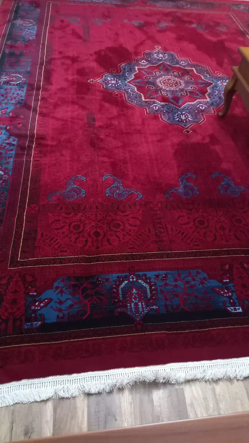 فرش نو و تازه|فرش|رشت, احمد گوراب|دیوار