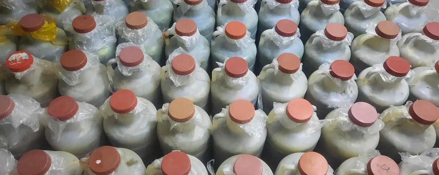 خیار شور تازه|خوردنی و آشامیدنی|بابل, |دیوار