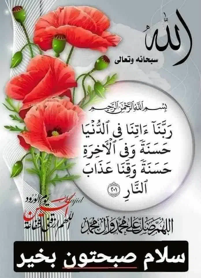 هم خونه میخوام|اجارهٔ آپارتمان|بافق, |دیوار