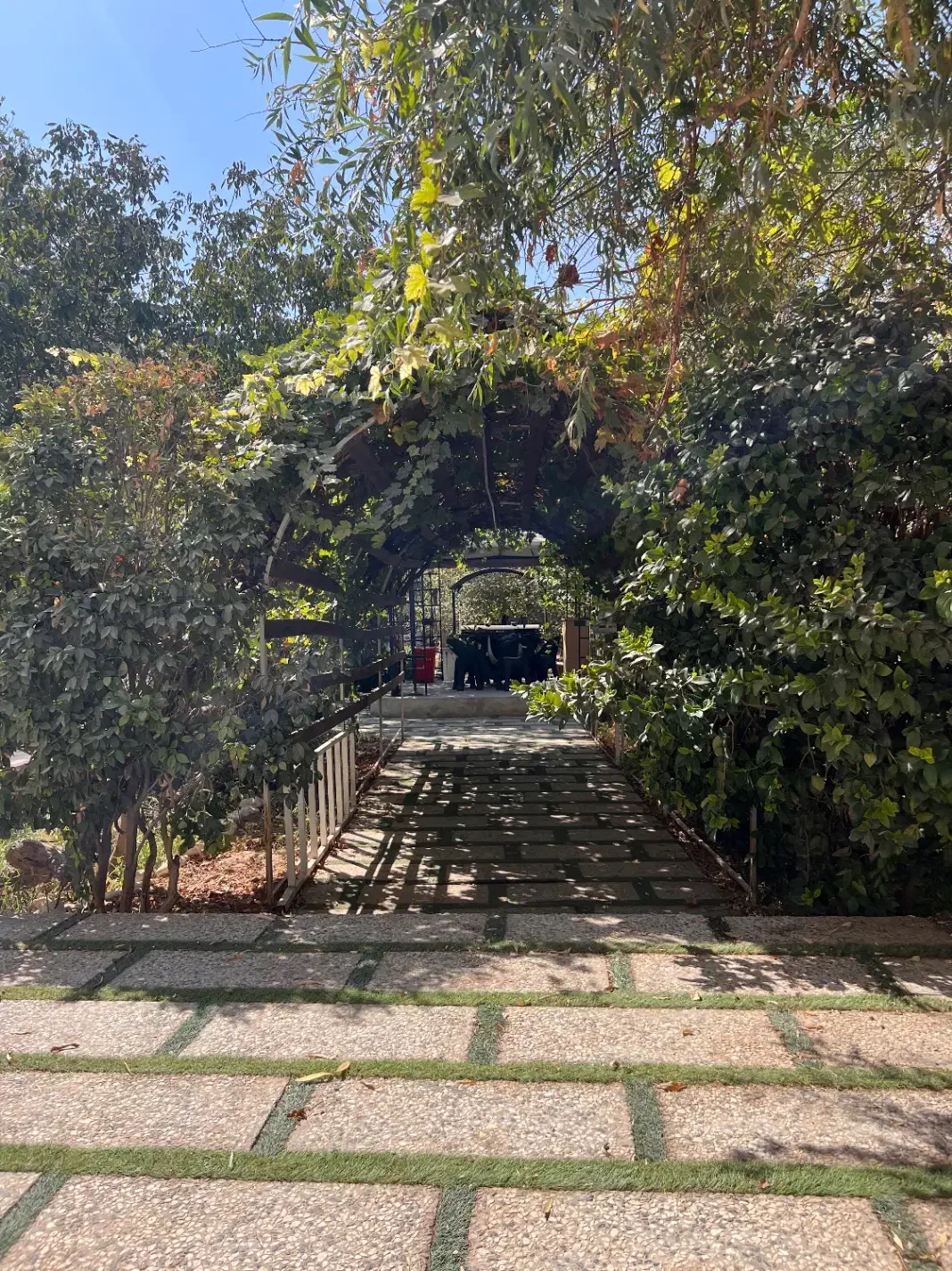 لوکیشن تولیدمحتوا ویژه بلاگرها|اجارهٔ کوتاهمدت دفتر کار و فضای آموزشی|چهارباغ, |دیوار