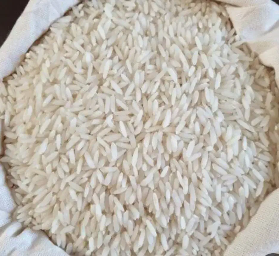 برنج طارم هاشمی (کشاورز)|خوردنی و آشامیدنی|قائمشهر, |دیوار