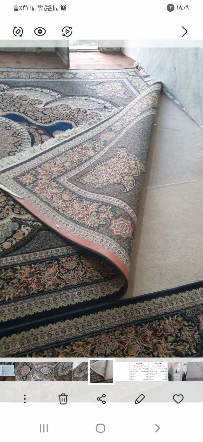 دوتخته فرش ۱۰۰۰شانه تراکم۳۰۰۰ پرگوشت جنس خوب|فرش|مشهد, شهید معقول|دیوار