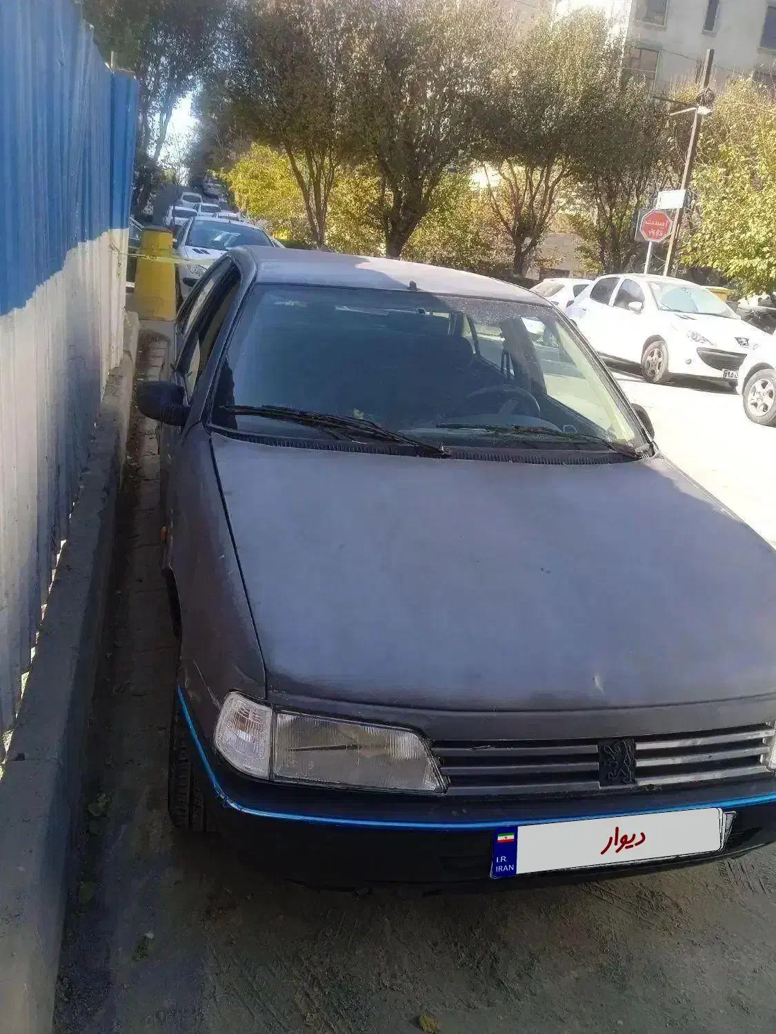 روا دوگانه|خودرو سواری و وانت|تهران, ونک|دیوار