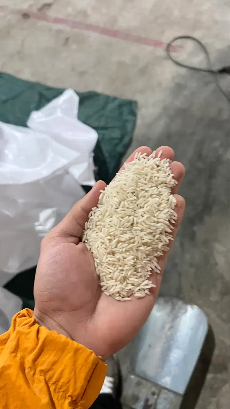 برنج ایرانی درجه یک از کارخانه به مشتری|عمده‌فروشی|بندر انزلی, گلشن|دیوار