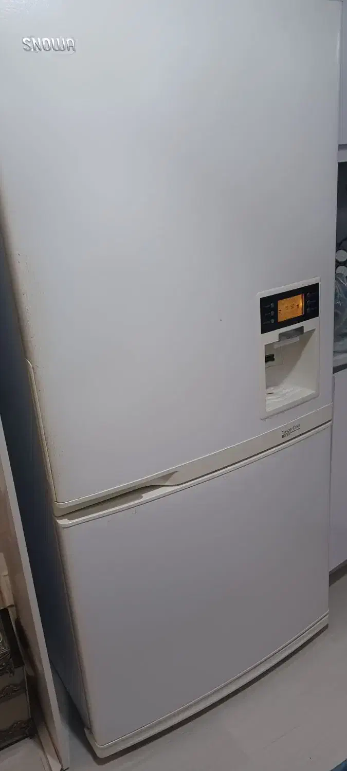 یخچال اسنوا بدون پوسیدگی در حد نو|یخچال و فریزر|آستارا, |دیوار