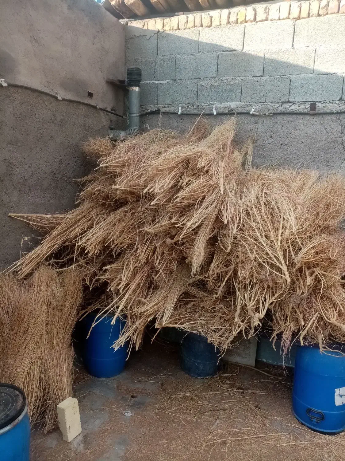 جارو فراشی، جارو سوپوری، جارو شهرداری|لوازم نظافت|قزوین, |دیوار