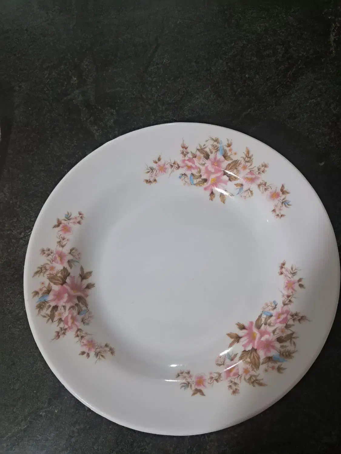 ظروف آشپزخانه|ظروف سرو و پذیرایی|سامان, |دیوار