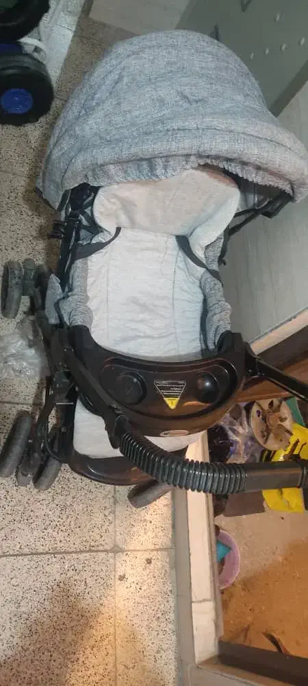 کالسکه دلیجان|کالسکه و لوازم جانبی|تهران, یافت آباد شمالی|دیوار