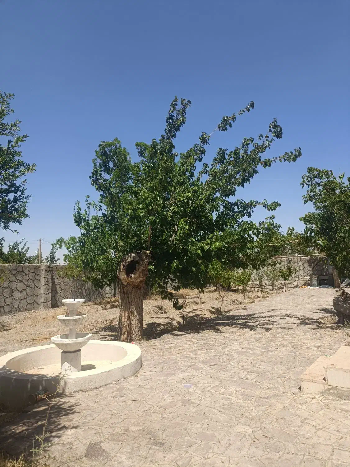 فروش باغ ویلا|فروش خانه و ویلا|بیرجند, |دیوار