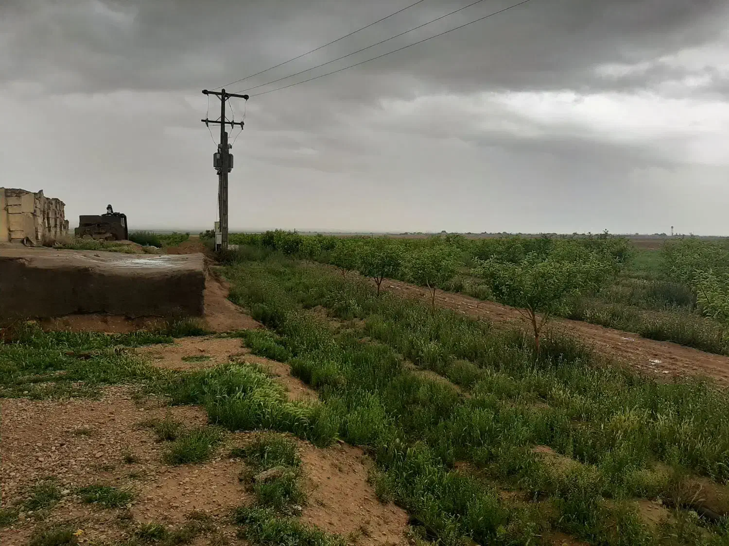 فروش زمین کشاورزی|فروش دفتر صنعتی، کشاورزی، تجاری|چناران, |دیوار