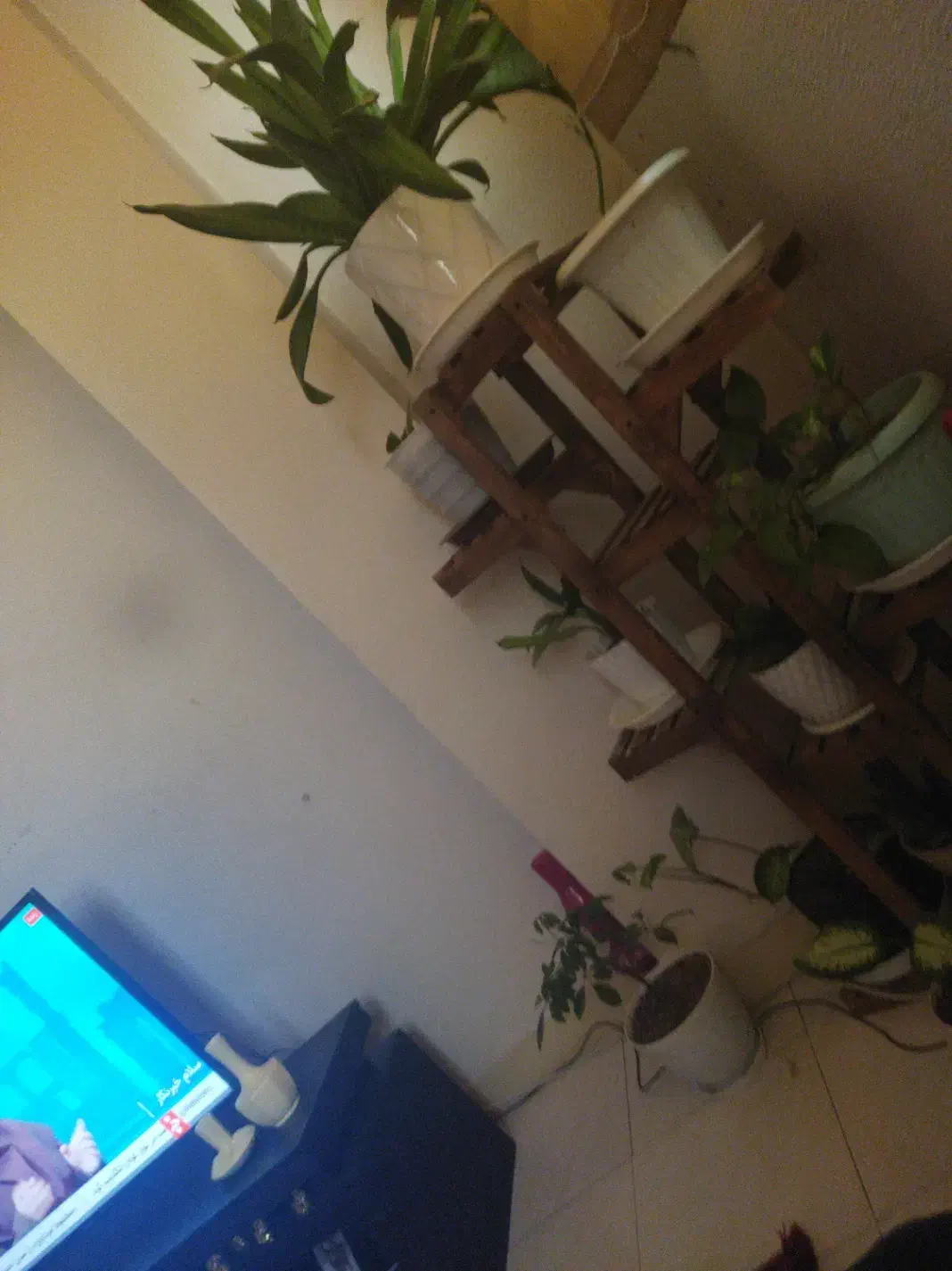 املاک|اجارهٔ آپارتمان|شاهین‌شهر, طالقانی|دیوار