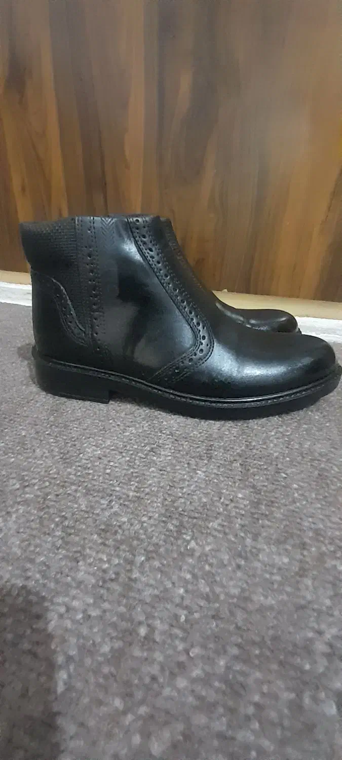 کفش|کیف، کفش، کمربند|قم, تعویض پلاک|دیوار