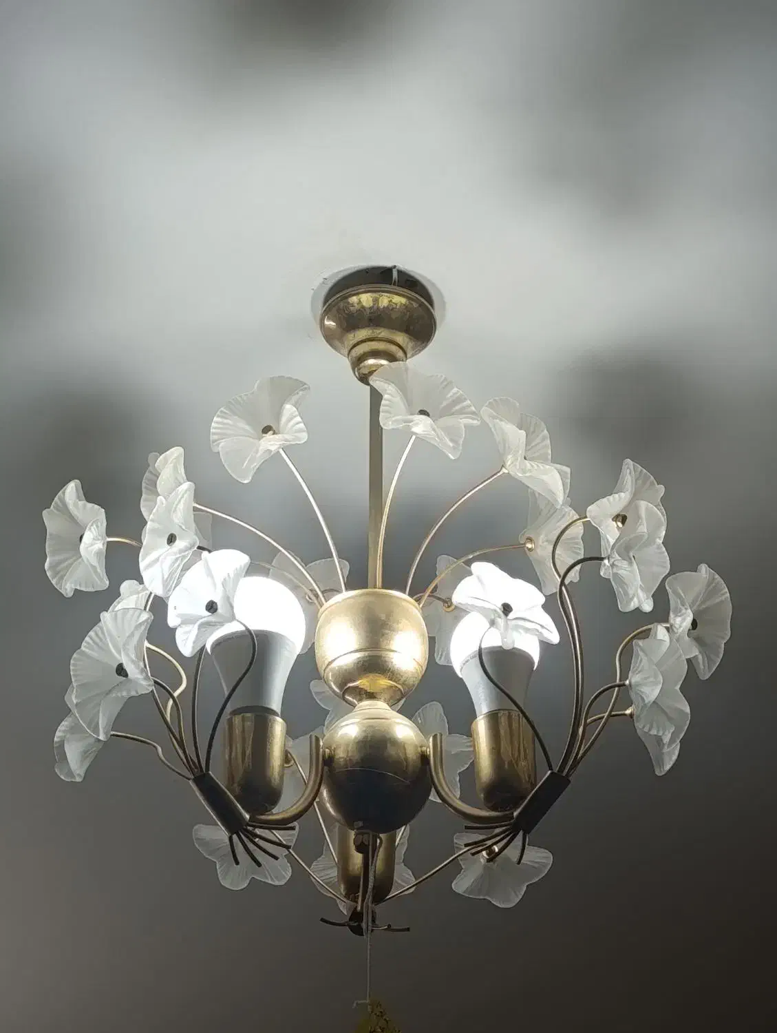 لوستر ۵ شاخه زیبا|لوستر و چراغ آویز|شیراز, نصر|دیوار