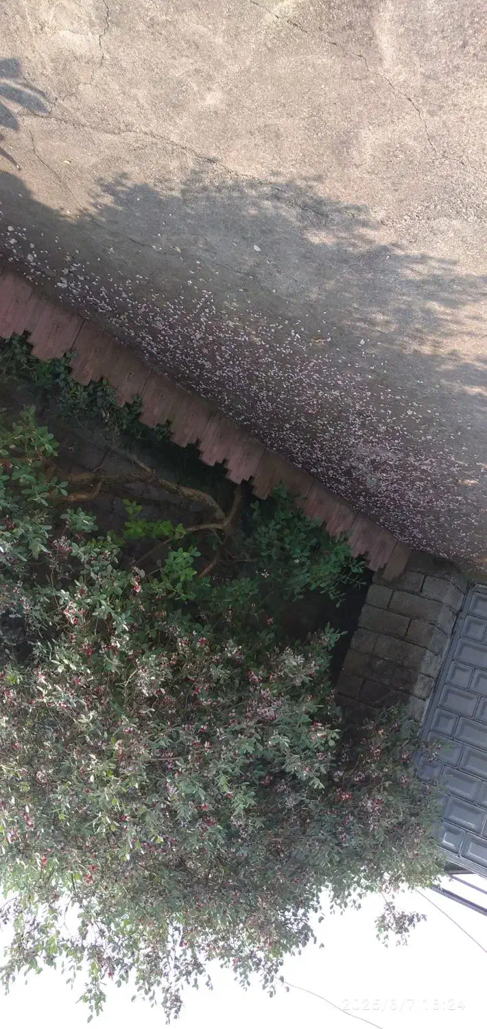 اجاره روزانه/هفتگی/ماهانه آپارتمان ۷۰ متری|اجارهٔ کوتاه‌مدت آپارتمان و سوئیت|آستارا, |دیوار