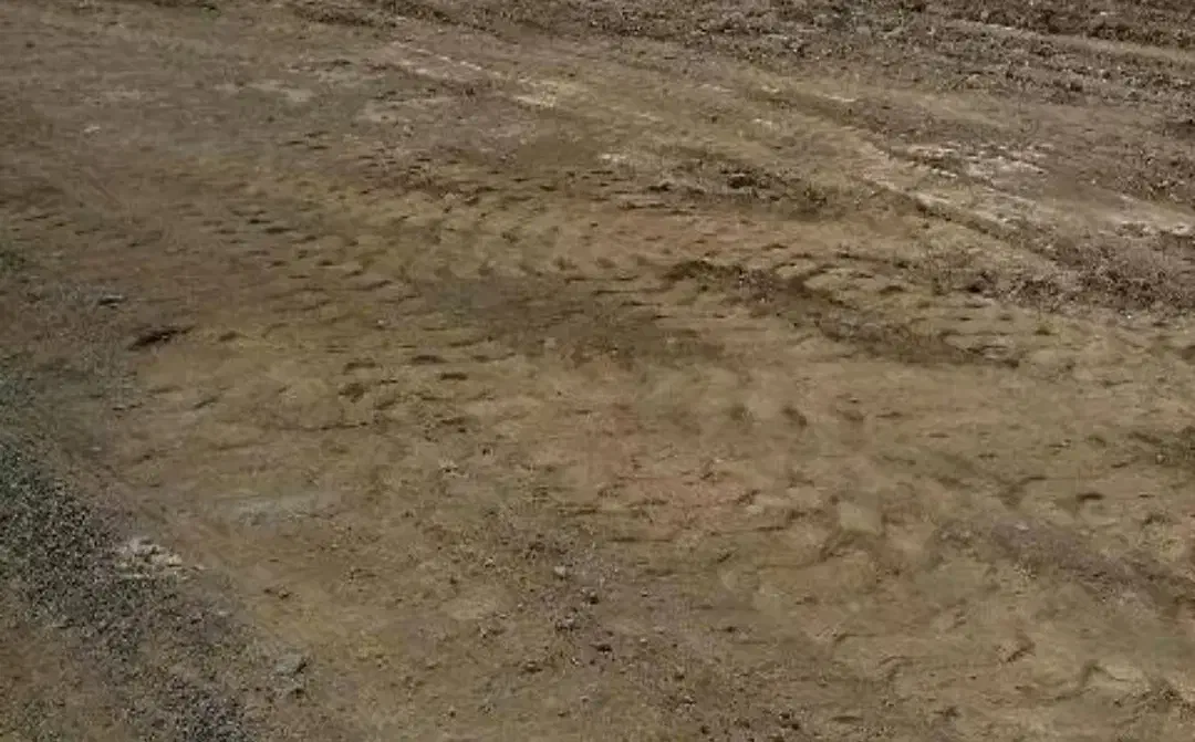 زمین مسکونی|فروش زمین و ملک کلنگی|فاریاب, |دیوار