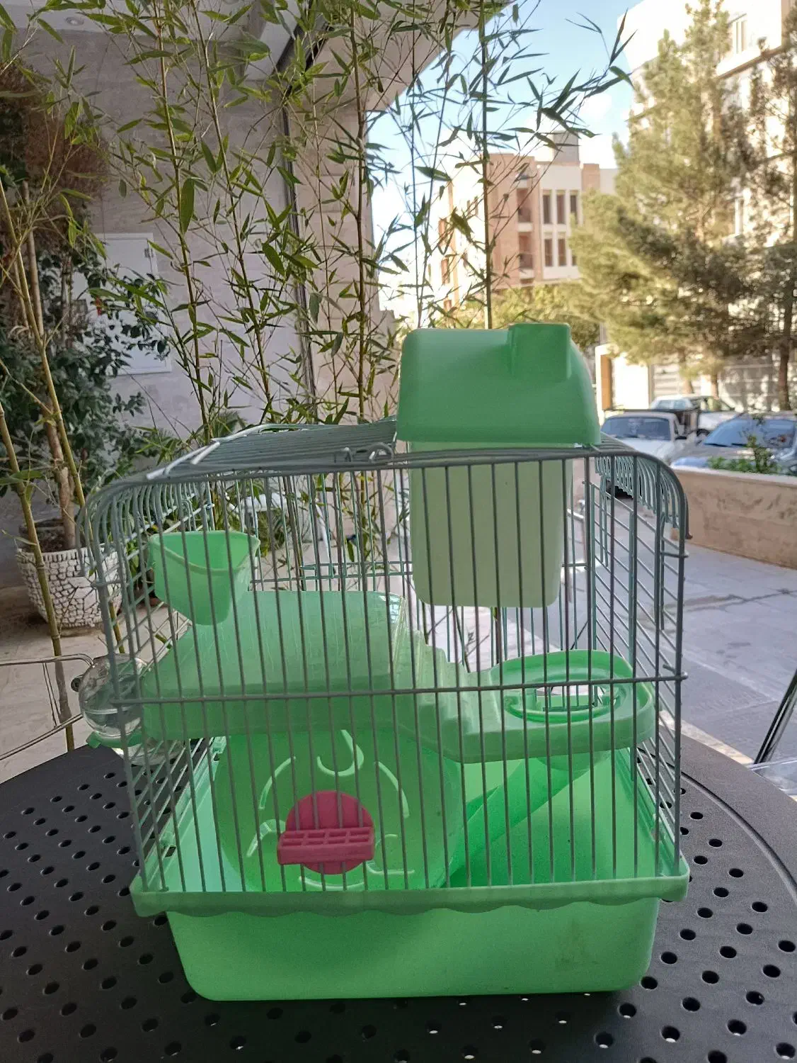 قفس همستر وارداتی با هدیه|لوازم جانبی حیوانات|قزوین, |دیوار