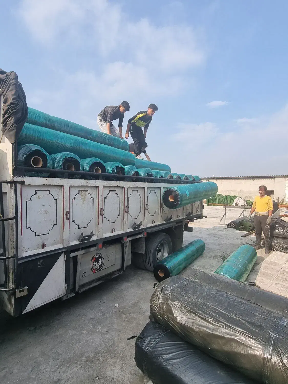 فروش چمن مصنوعی (آمل چمن)|مصالح و تجهیزات ساختمان|آمل, |دیوار