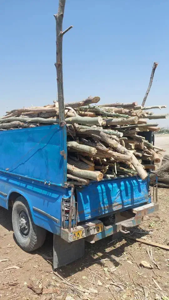 چوب خریدار چوب خشک و تر|خدمات باغبانی و درختکاری|دلبران, |دیوار