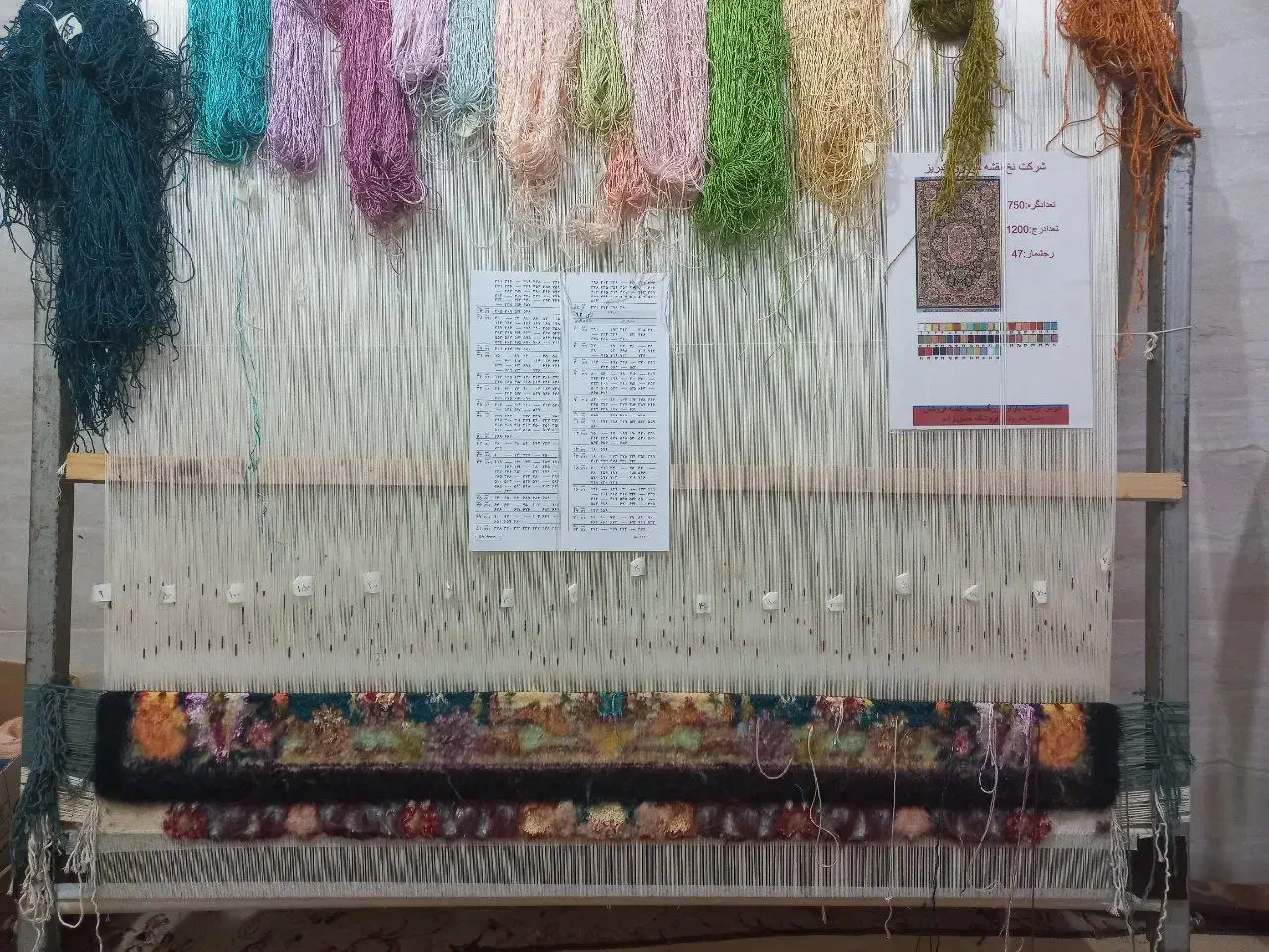 فرش زرنیم سالاری|فرش|رشت, شهرک قدس|دیوار