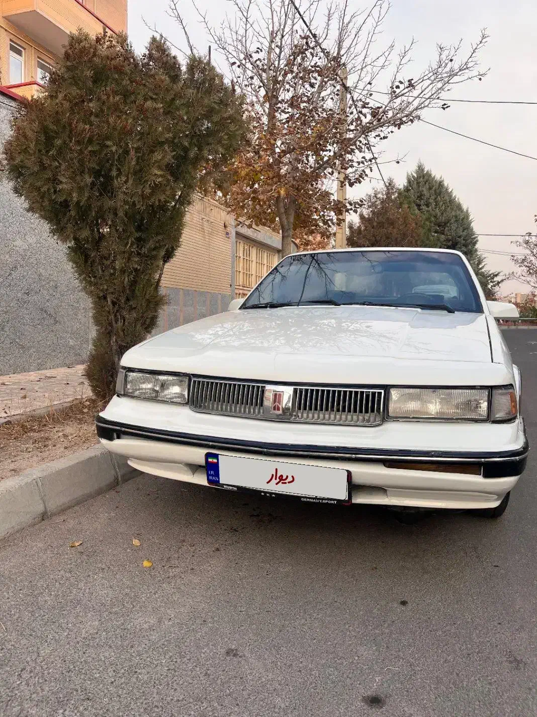 الدوزمبیل کاتلاس|خودرو سواری و وانت|بابل, |دیوار