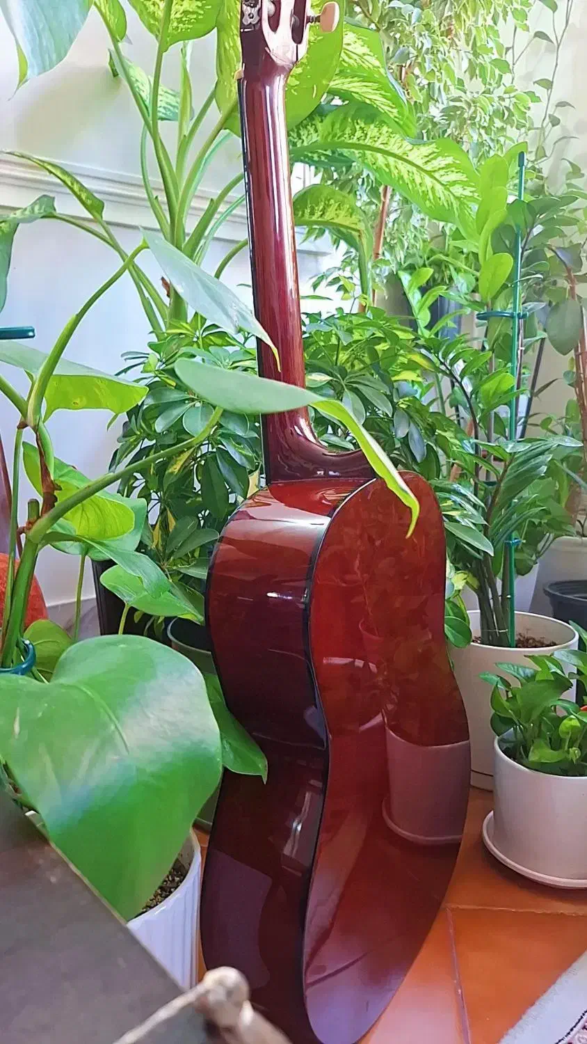 گیتار والنسیا CG160|گیتار، بیس، امپلیفایر|تهران, تهرانپارس شرقی|دیوار