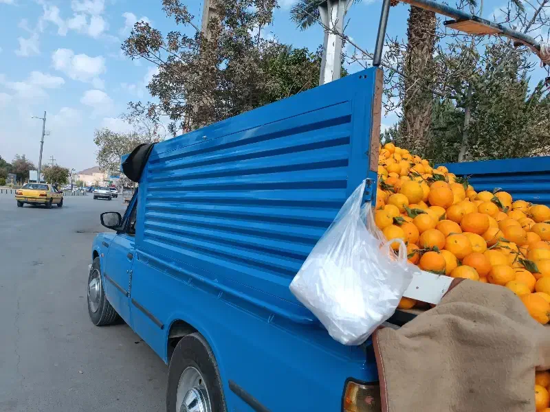 باربند کامیارانی نو سالم بدون ایراد|قطعات یدکی و لوازم جانبی|سرپل ذهاب, |دیوار