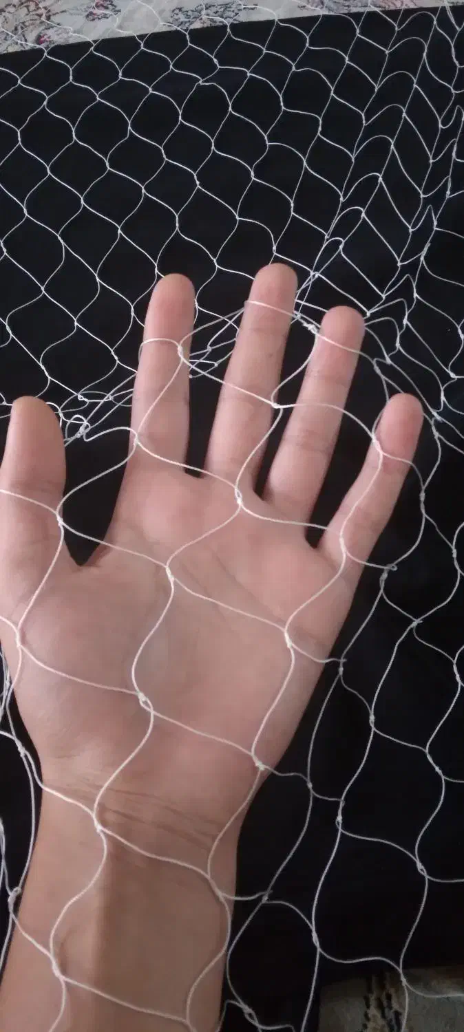 تورماهیگیری.سالی تمام دست بافت۱۴سینه ،۴ متر ارتفاع|ماهیگیری|تنکابن, |دیوار