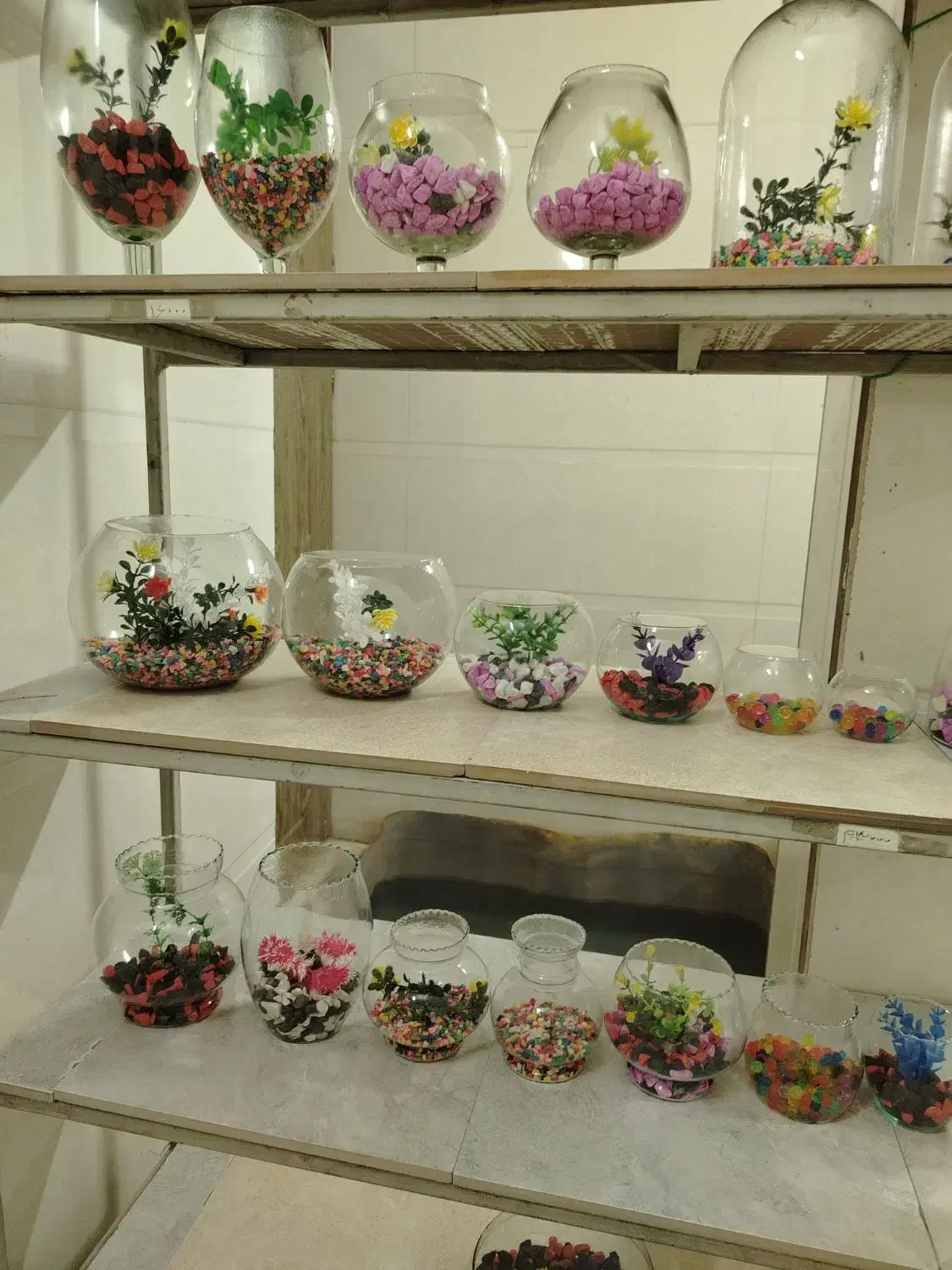 تنگ ماهی|ماهی|قم, شاه ابراهیم|دیوار