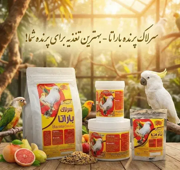 سرلاک، غذای جوجه سرلاکی طوطی باراتا ارسال رای گان|لوازم جانبی حیوانات|تهران, کوهک|دیوار