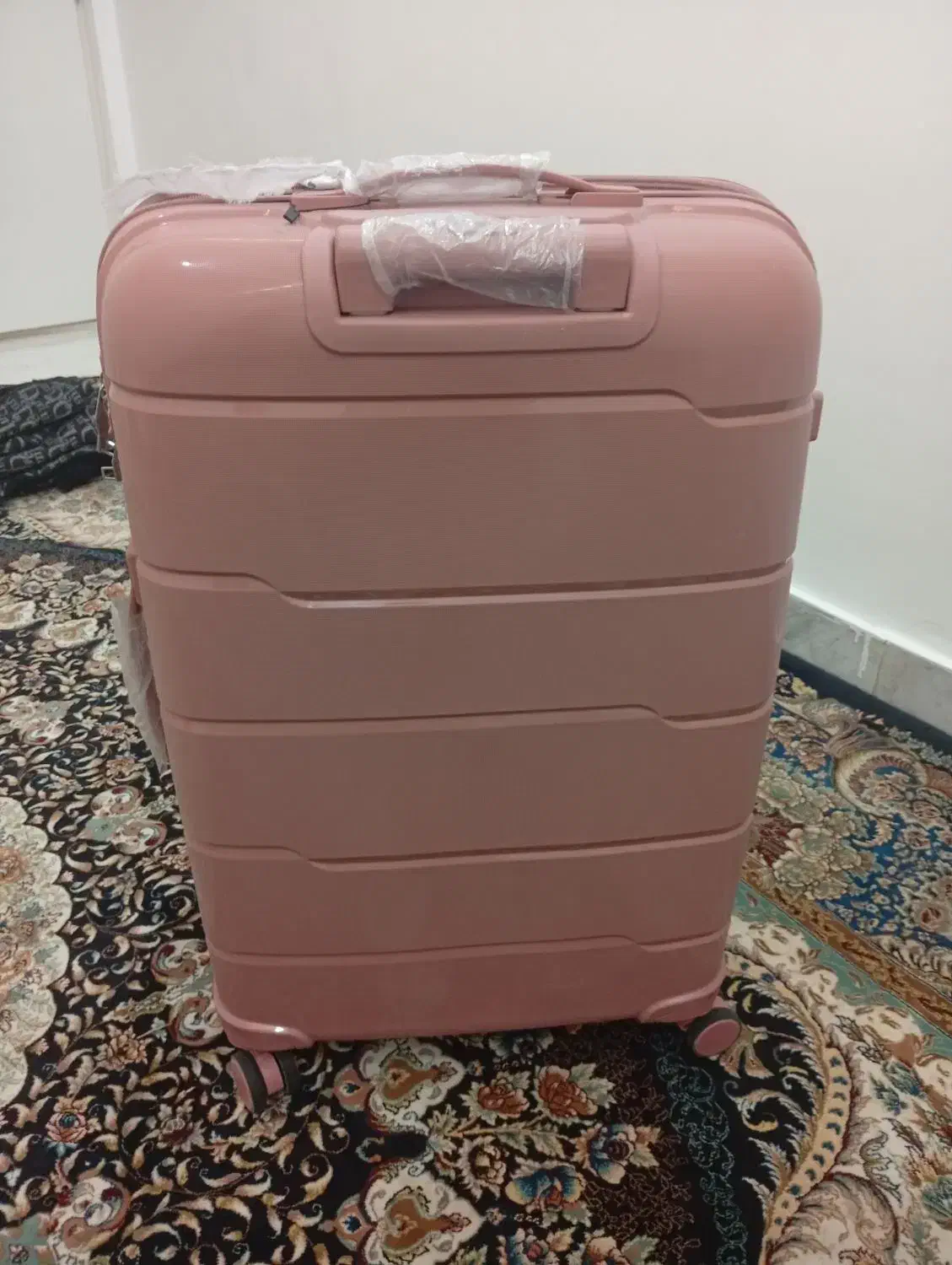 چمدان نو|کیف، کفش، کمربند|سبزوار, کوی گلستان|دیوار