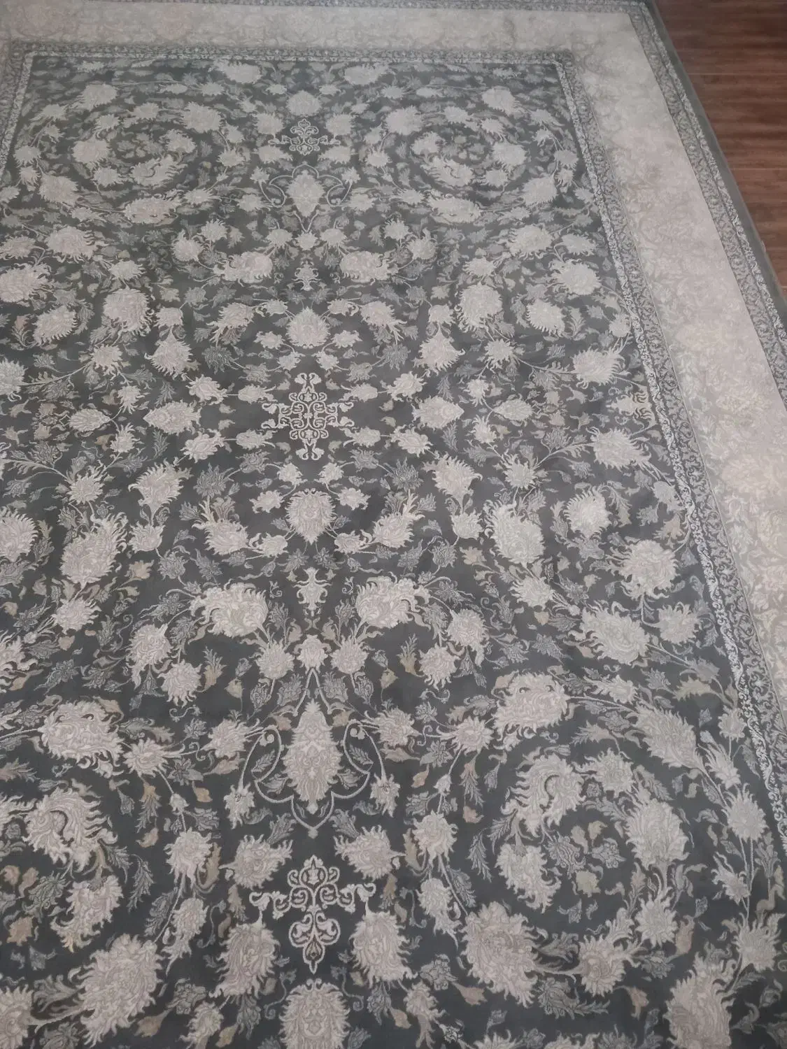 دوهفته فرش طرح جدید درحدنو|فرش|بندر انزلی, بی بی حوریه|دیوار