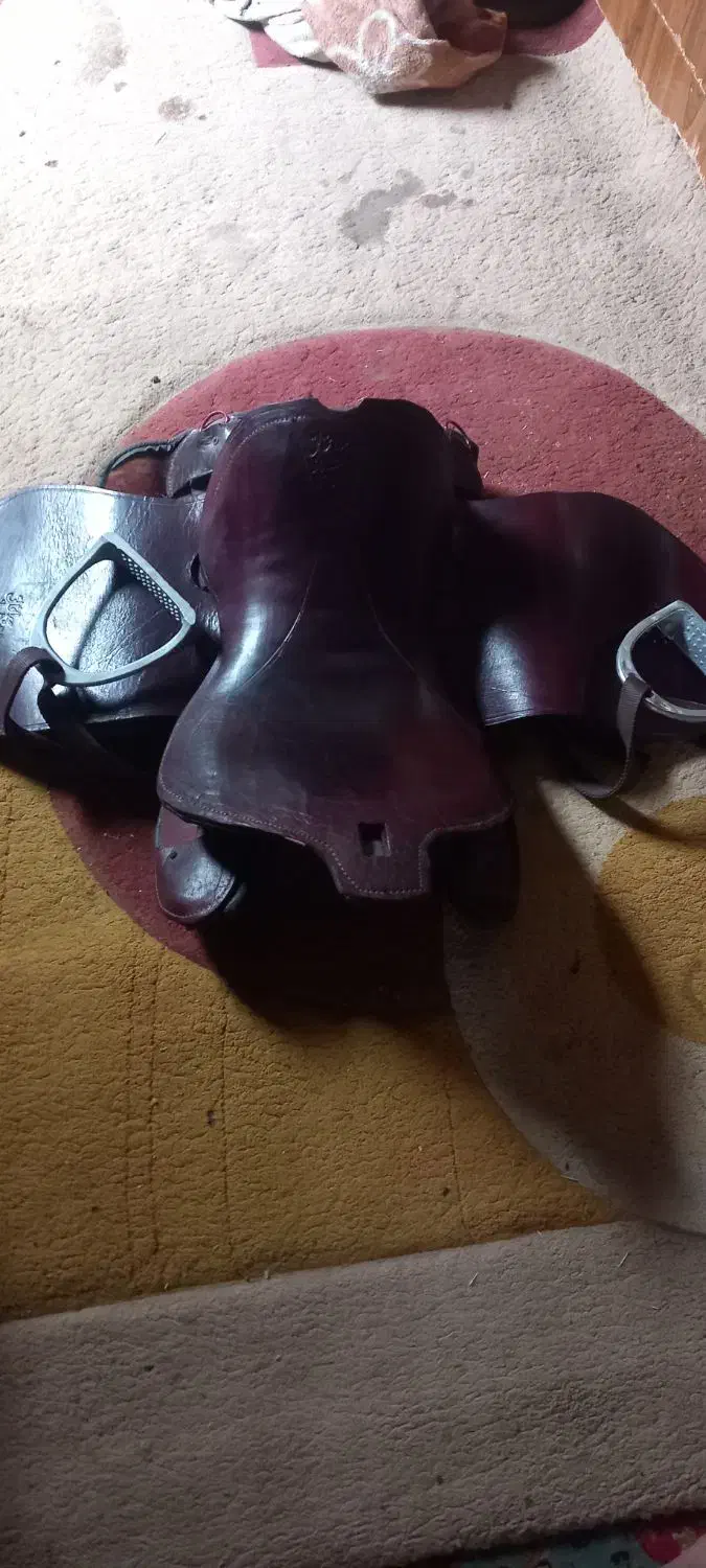 دزفول|اسب و تجهیزات اسب‌سواری|شوش, |دیوار